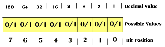 1 byte decimal sale